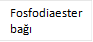 Fosfodiaester
bağı
